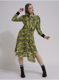 Midi dress with print Larisa Dragna
