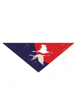 Triangle silk scarf Poem Japonez Rozmarin Concept